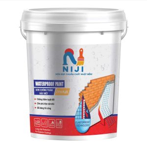 Chống Thấm Đặc Biệt CT10Plus